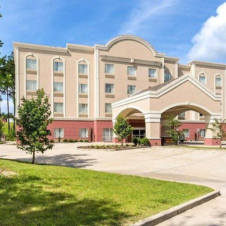 Comfort Suites Mandeville - Covington Kültér fotó